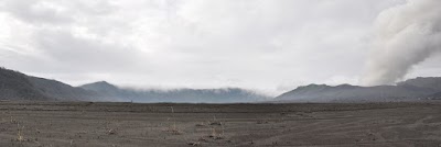 DSC_0557.jpg