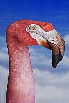 [Flamingo1-226x340%255B4%255D.jpg]