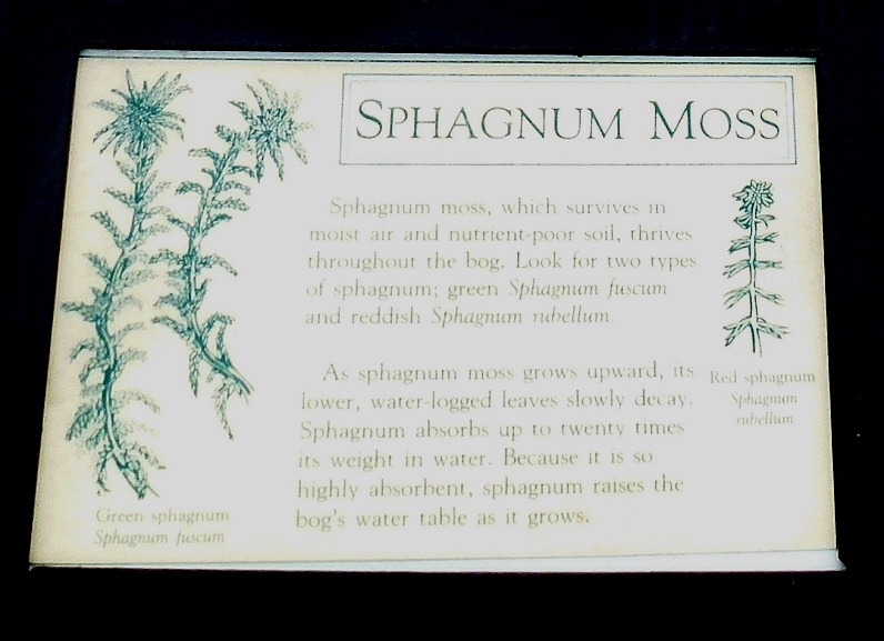 [04w10---Hike---Sphagnum-Moss-Sign2.jpg]