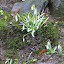 DSCF4059.jpg