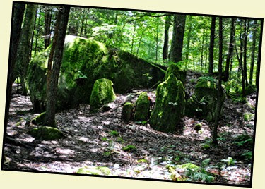 17g - down Rock Garden Trail - We found a Rock Garden