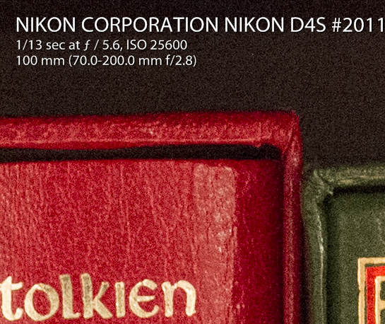 Nikon D4s at  f/5.6 @ 100 mm, 1/13, ISO 25600