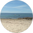 Image Google de piel carine