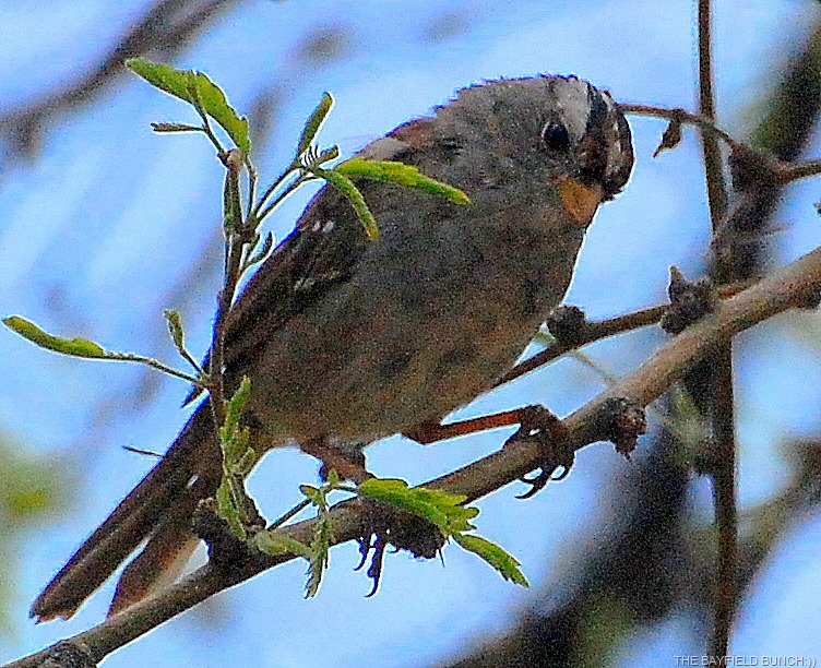 [DSC_9007%255B5%255D.jpg]