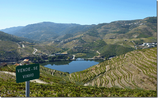 douro-vinho-e-delicias