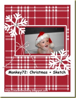 Monkey 72 Christmas-001