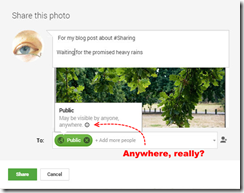 Example of the google+ share dialogue