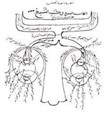Ibn al-Haytham's Optics - 1083