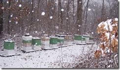 Hives In Winter