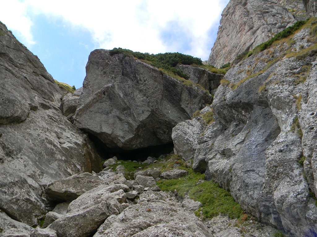[DSCN24293.jpg]