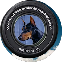 Borja Adiestramientomadrid