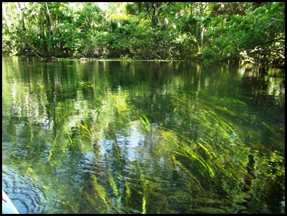 Wekiwa Springs State Park (77)A