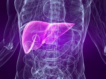 Liver Care Info