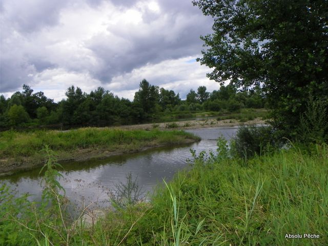 Loire au niveau d&#039;Épercieux-Saint-Paul, amont, rive droite photo #1020