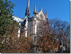guglie Notre Dame