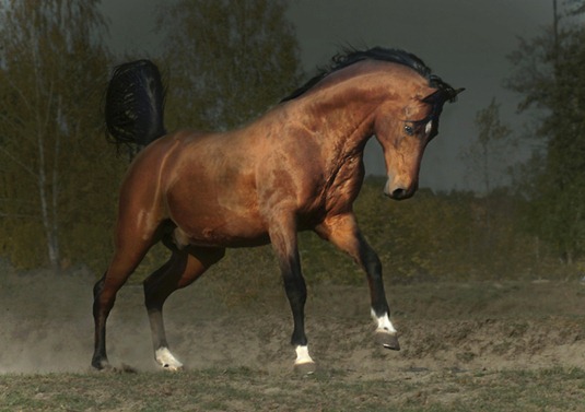 [79514663_4222959lg%255B2%255D.jpg]