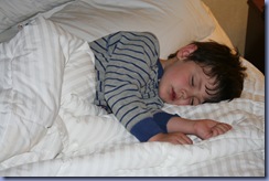 IMG_5401 IMG_5401