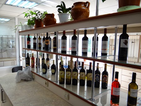 Drumul vinului -Basarabia: Vinurile Asconi