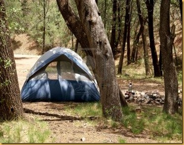 5699035-tent-in-the-forest-at-a-primitive-campground