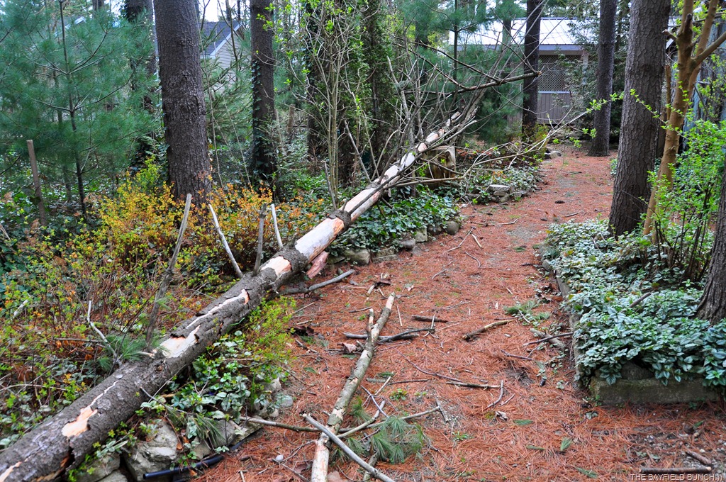 [DSC_0027%255B3%255D.jpg]