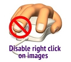 disable image right click
