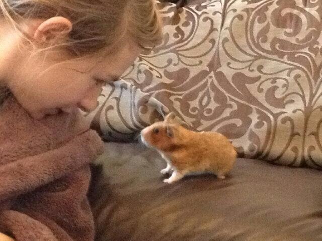 [BPJxx9HCUAAjEyp.jpg-large3.jpg]