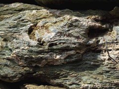 STONE 05 STONE 05