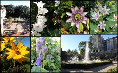 Casa loma gardens