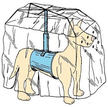 [clip_image011%255B6%255D%255B5%255D.jpg]