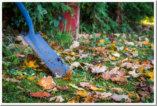 shovel and leaves in focus