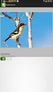 Free Download Guia de Aves do Brasil v2.1 APK for Android