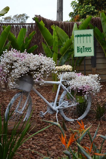 DSC_0149.jpg