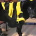 Funny Dogs and Cats read description