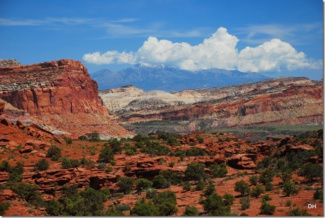 05-26-14 A West Side of Capital Reef NP (67)