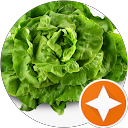 Image Google de Une salade