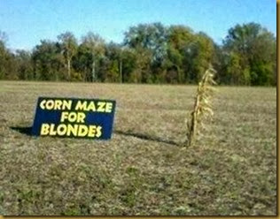 corn-maze-for-blondes2