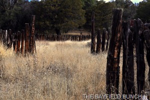 DSC_0052 DSC_0052