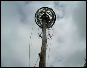 May Pole 2012