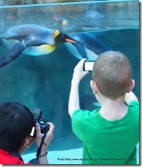 Ready for your close-up.  Two visitors to the Calgary Zoo new Penguin Plunge snapping photos.