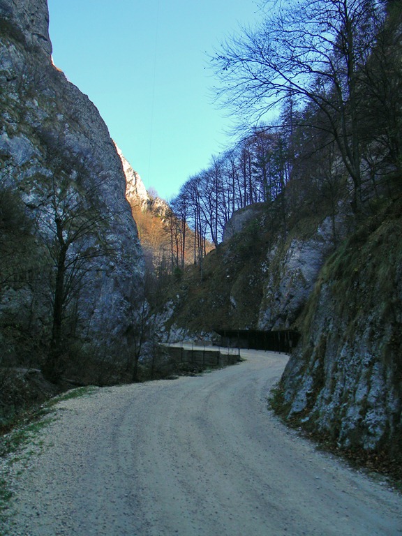 [DSCN14354.jpg]