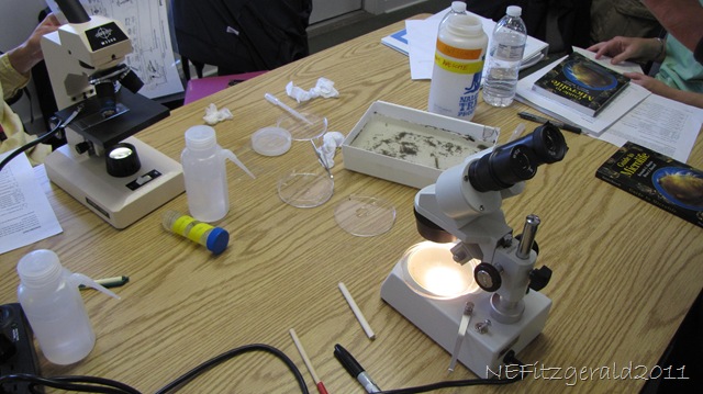 [IMG_7485InTheLab%255B8%255D.jpg]