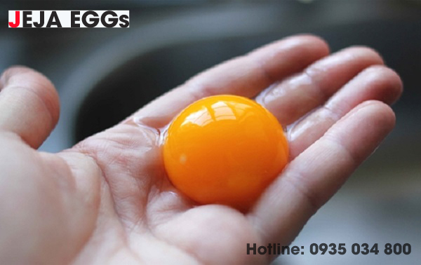 Chuyên phân phối trứng gà công nghiệp, trứng vịt sỉ/lẻ - giá rẻ tại tphcm - 3