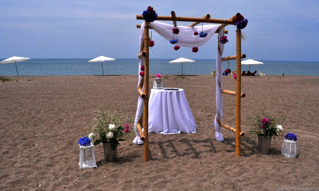 [DSC_0011%255B4%255D.jpg]