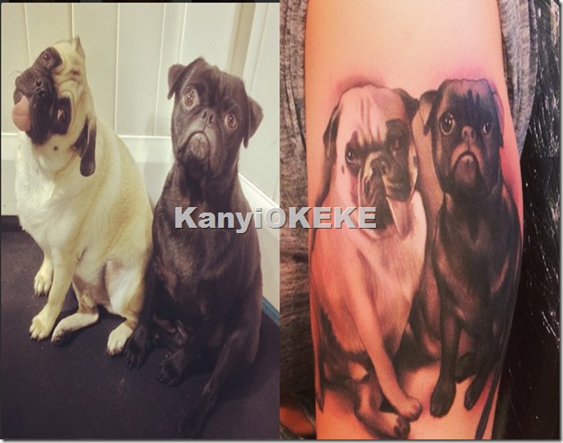 Amber-Rose-Tattoos-Dog-on-Her-Arm-7-tile Amber-Rose-Tattoos-Dog-on-Her-Arm-7-tile