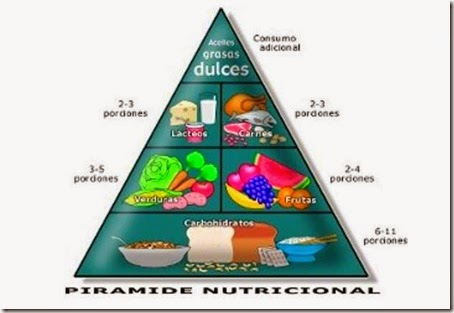 Nutrición, respiración e circulación