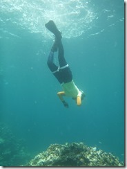 2013 Ishigaki 184 2013 Ishigaki 184