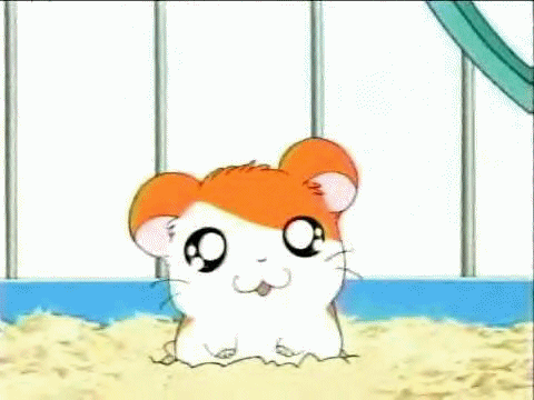tumblr_l9kodaJhS51qdddw8o1_500 tumblr_l9kodaJhS51qdddw8o1_500