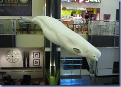 6073 Ottawa inside World Exchange Plaza - view of Beluga Whale from our table as we ate lunch