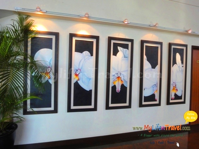 [Flamingo-hotel-penang-676.jpg]