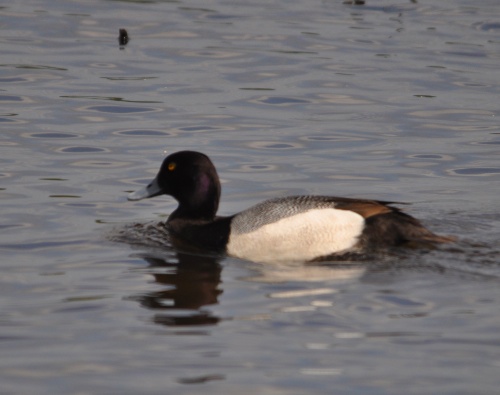 DSC_0473.jpg DSC 0473